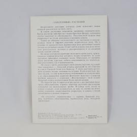 Картинка 2