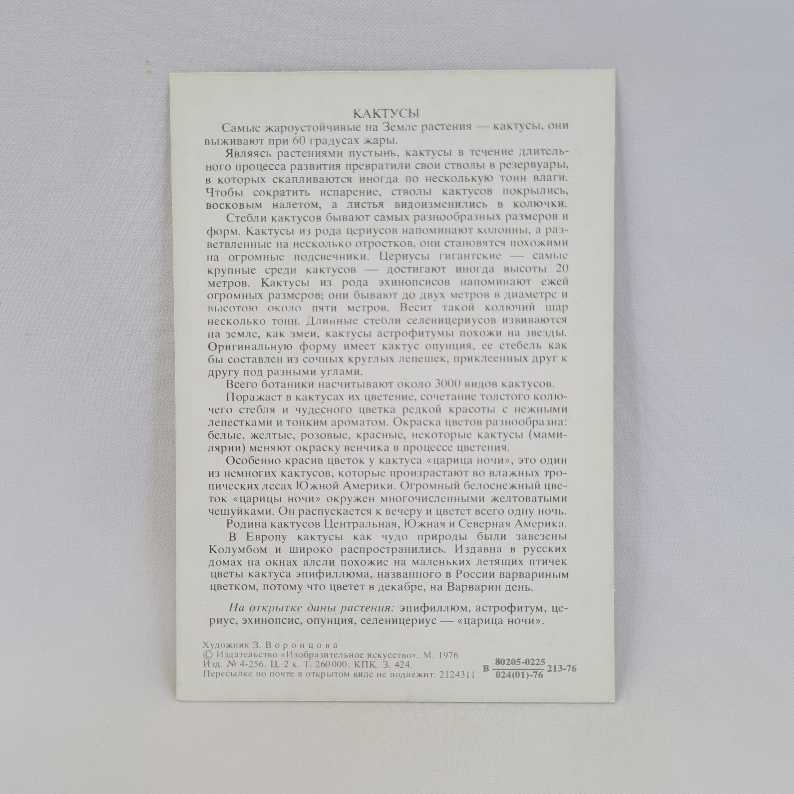 Картинка 2