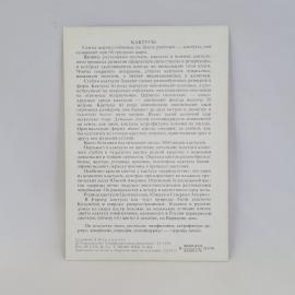 Картинка 2