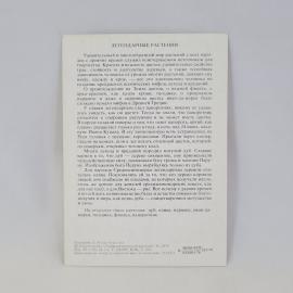 Картинка 2