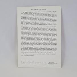 Картинка 2