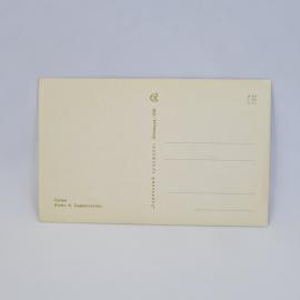 Картинка 2