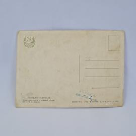 Картинка 2