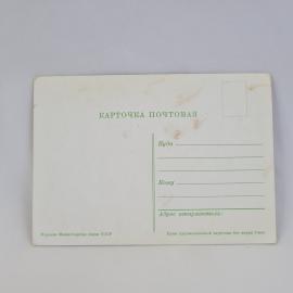 Картинка 2