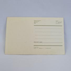 Картинка 2