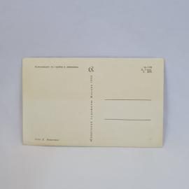 Картинка 2