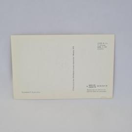 Картинка 2