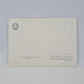 Картинка 2