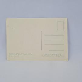 Картинка 2