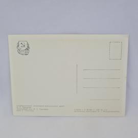 Картинка 2