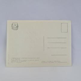 Картинка 2