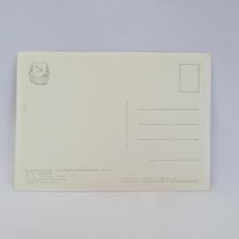 Картинка 2