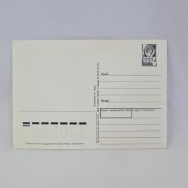 Картинка 2