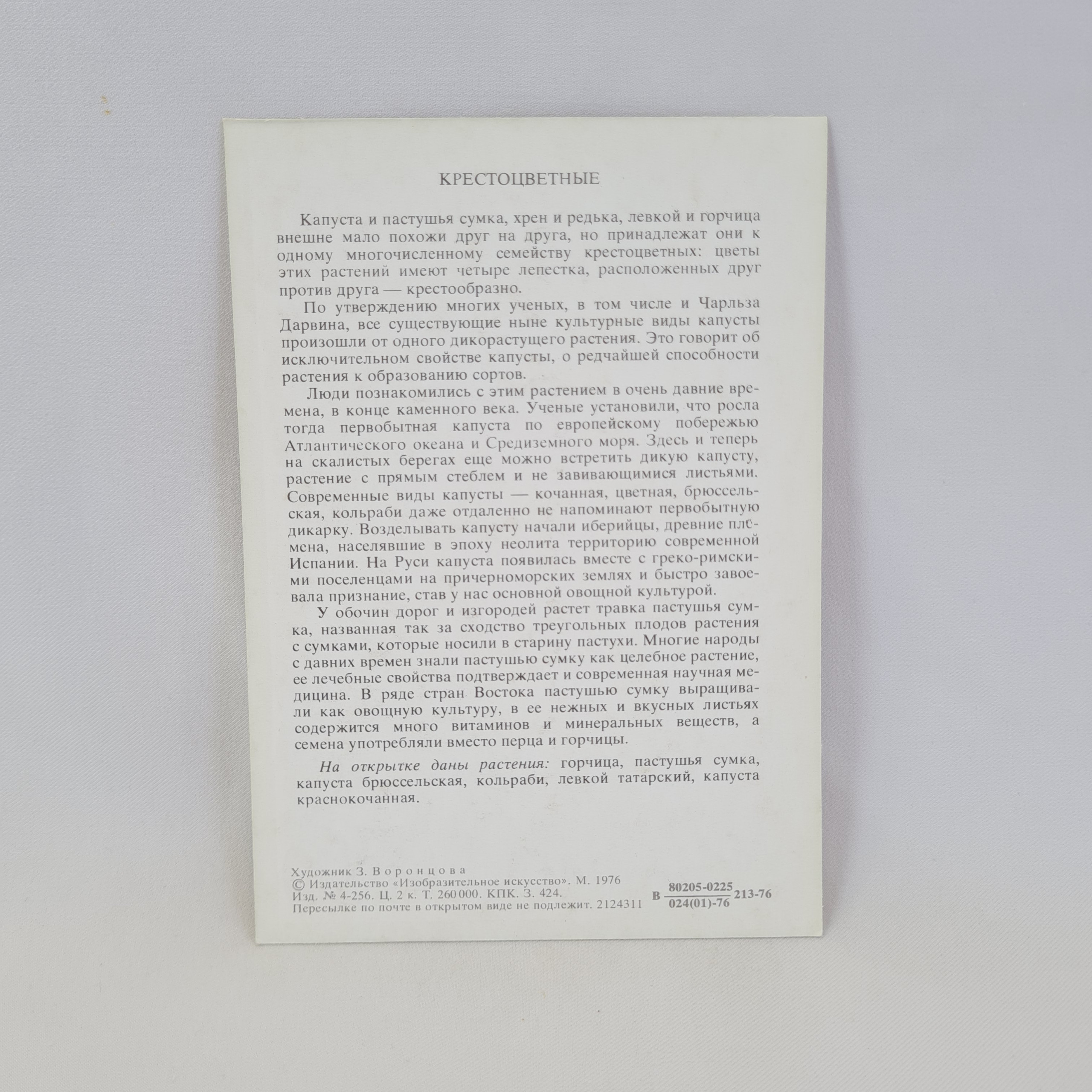 Картинка 2