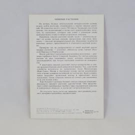 Картинка 2