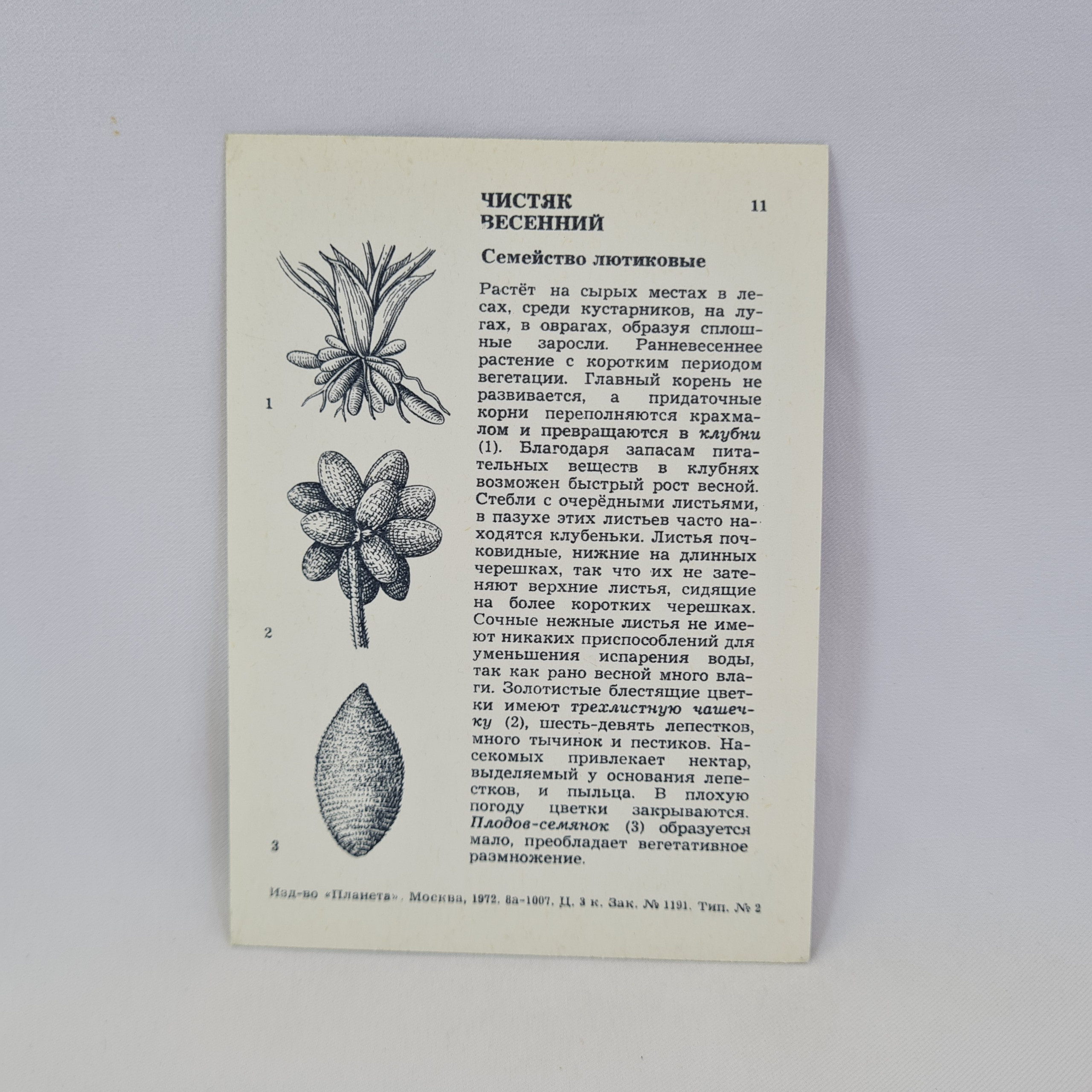 Картинка 2