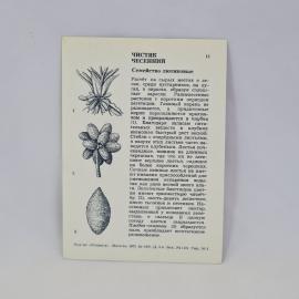 Картинка 2