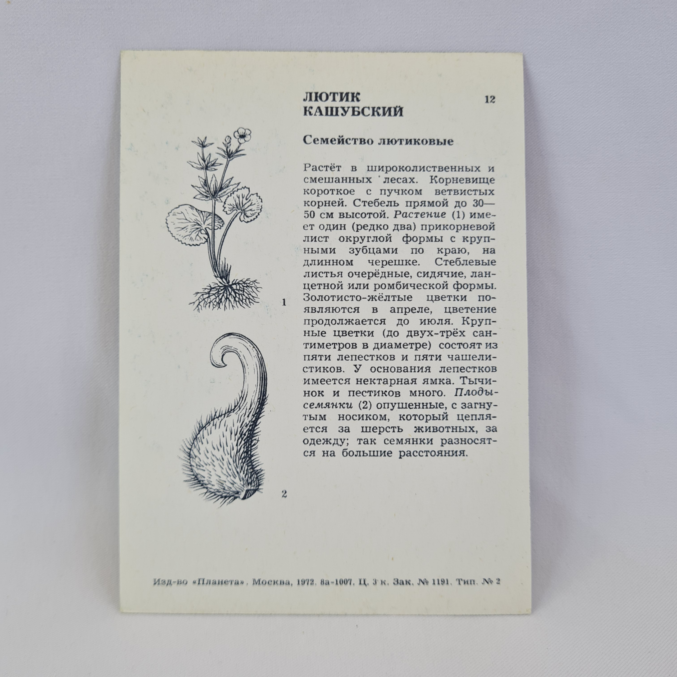 Картинка 2