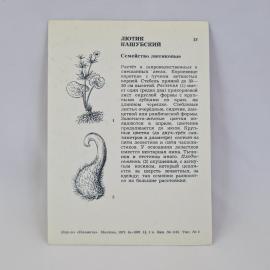 Картинка 2