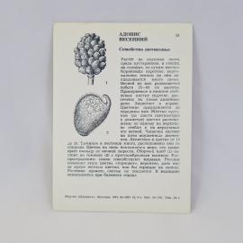 Картинка 2