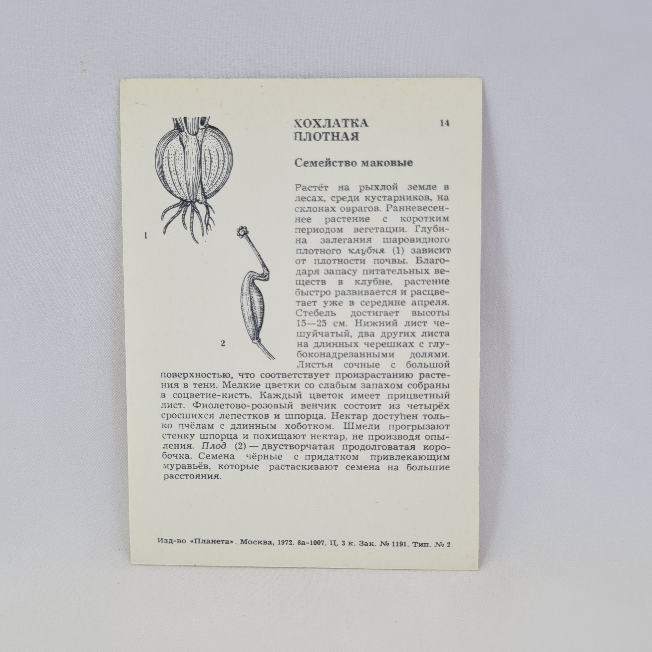 Картинка 2