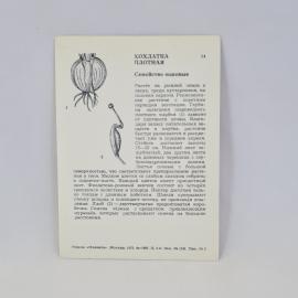 Картинка 2