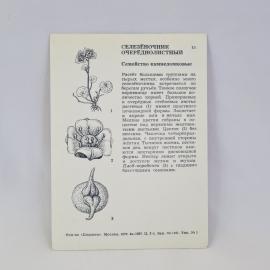 Картинка 2