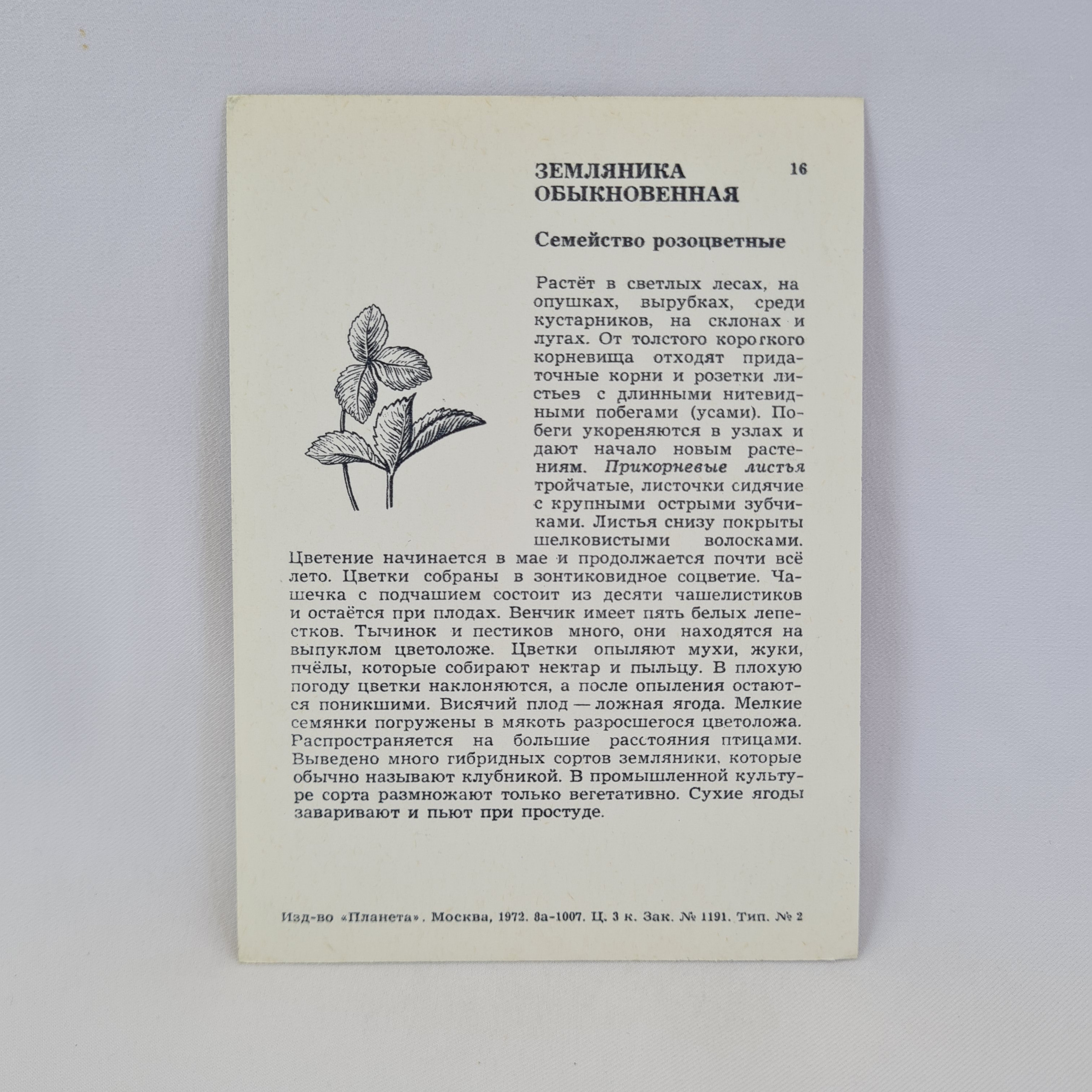 Картинка 2