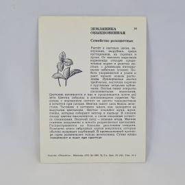 Картинка 2