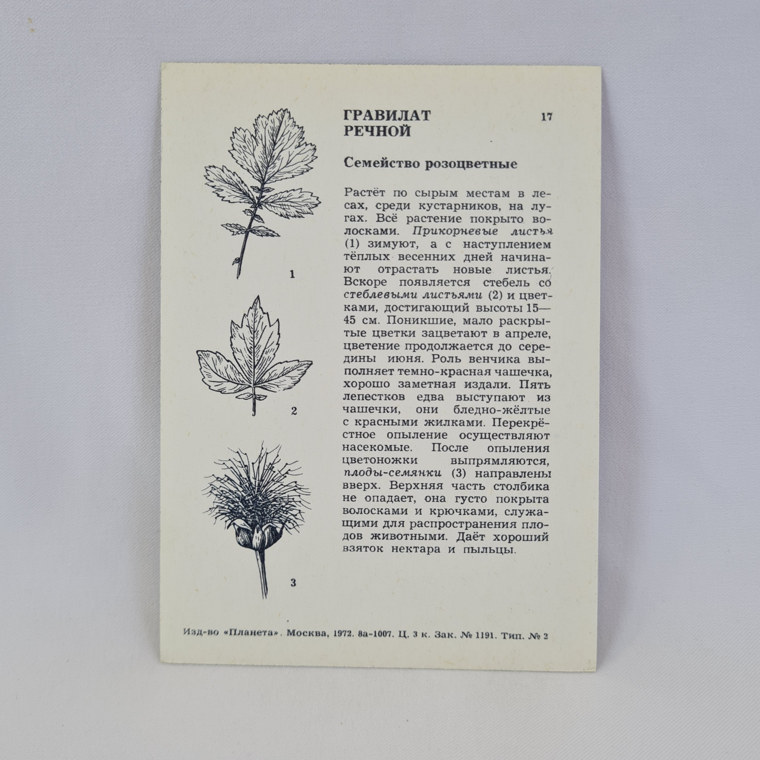 Картинка 2