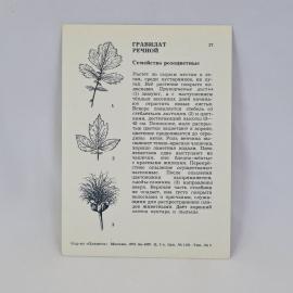 Картинка 2