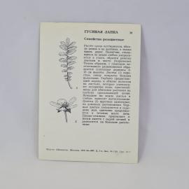 Картинка 2