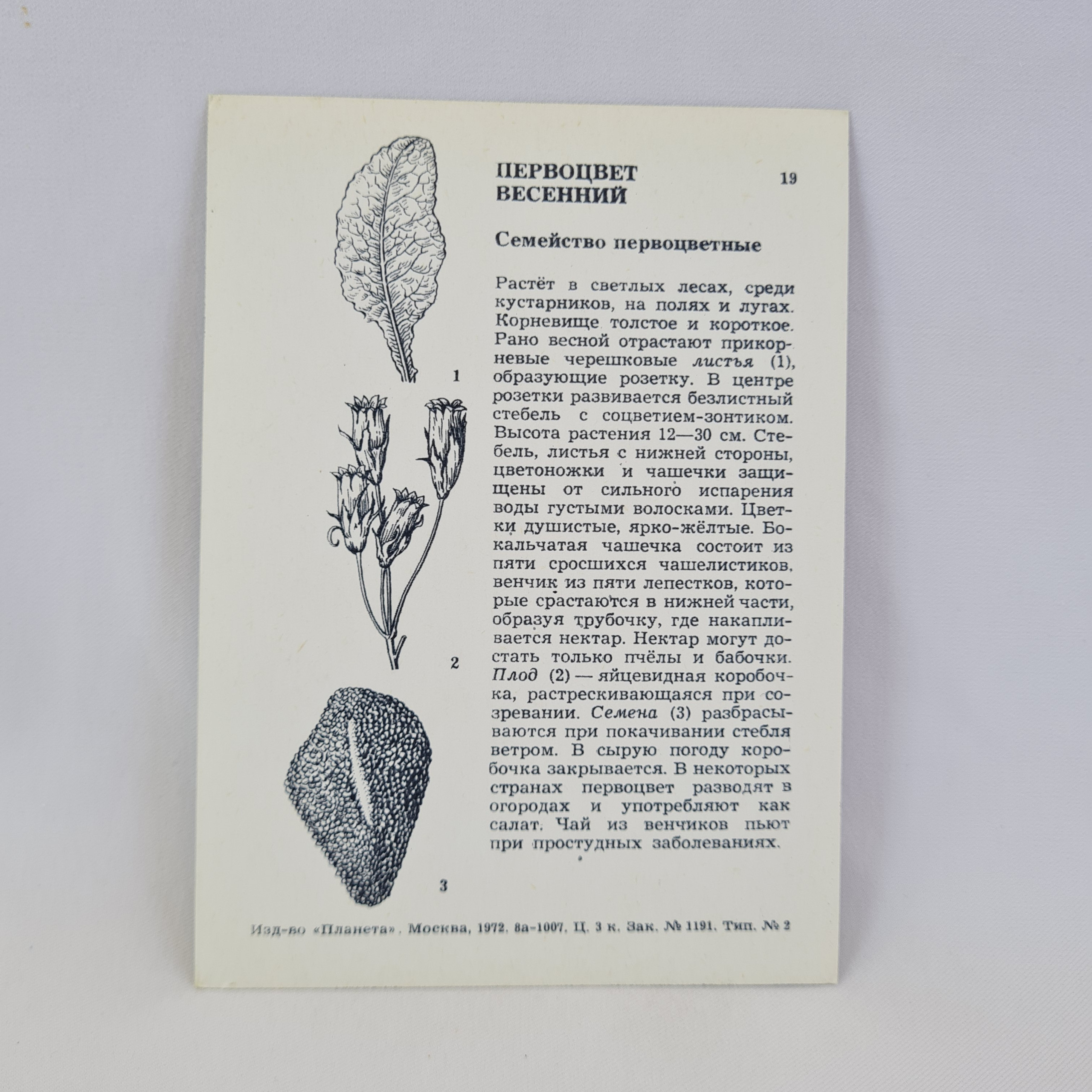 Картинка 2