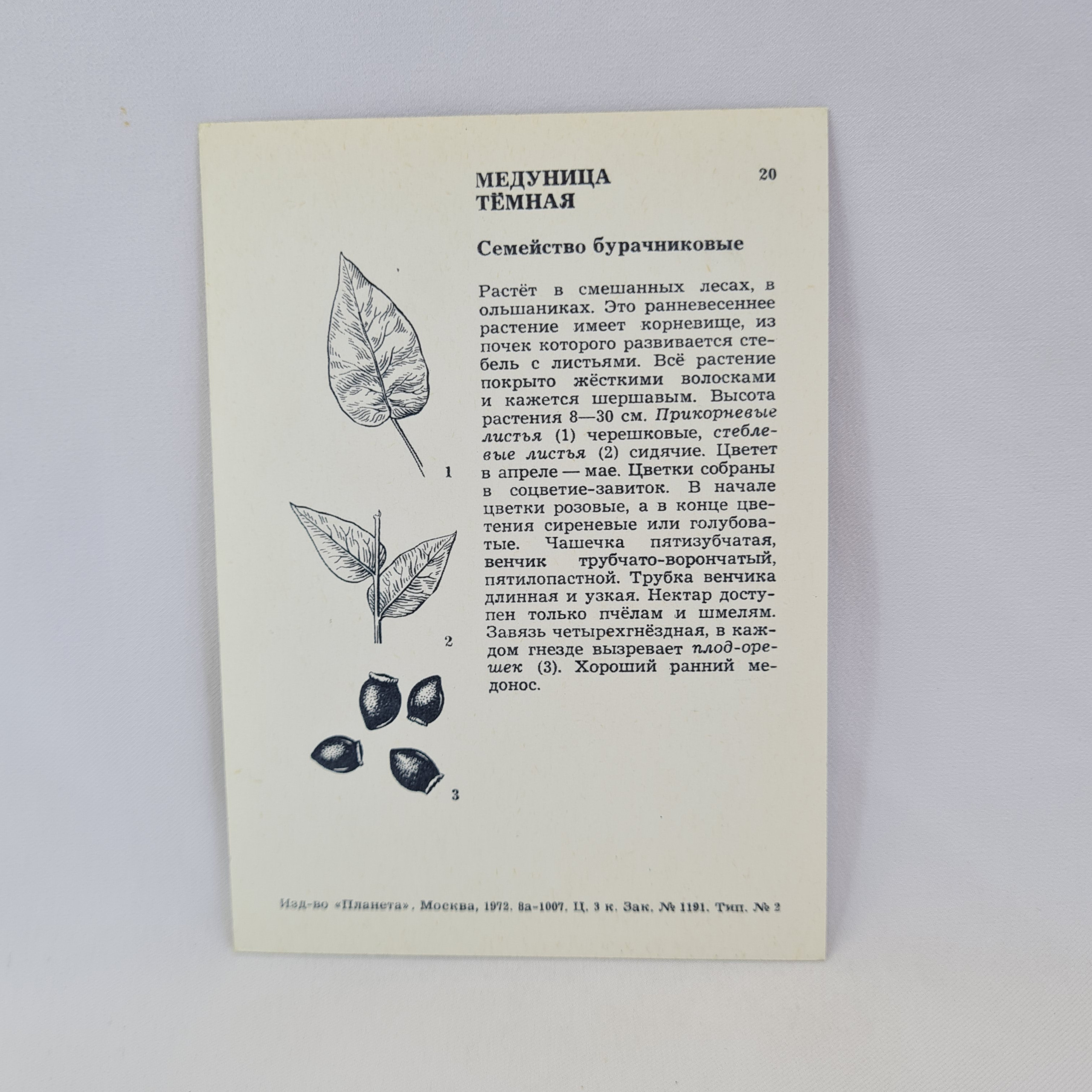 Картинка 2