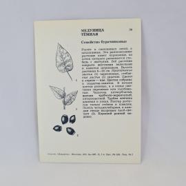 Картинка 2