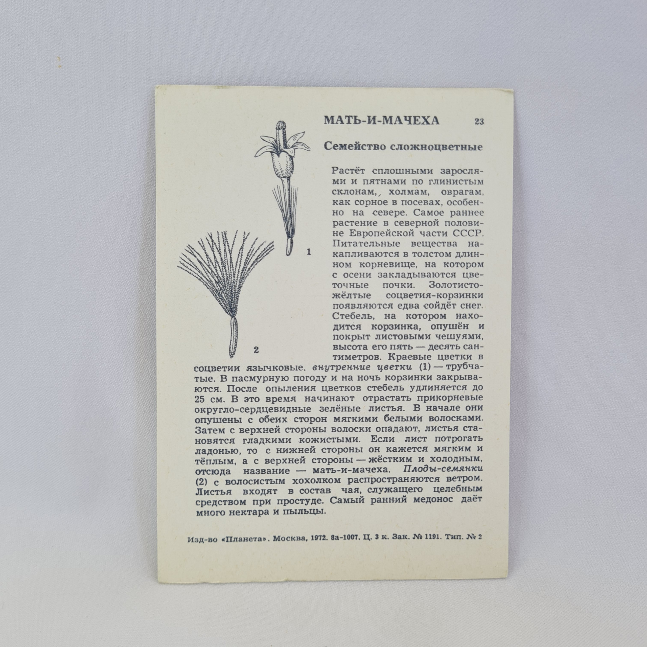 Картинка 2