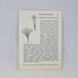 Картинка 2