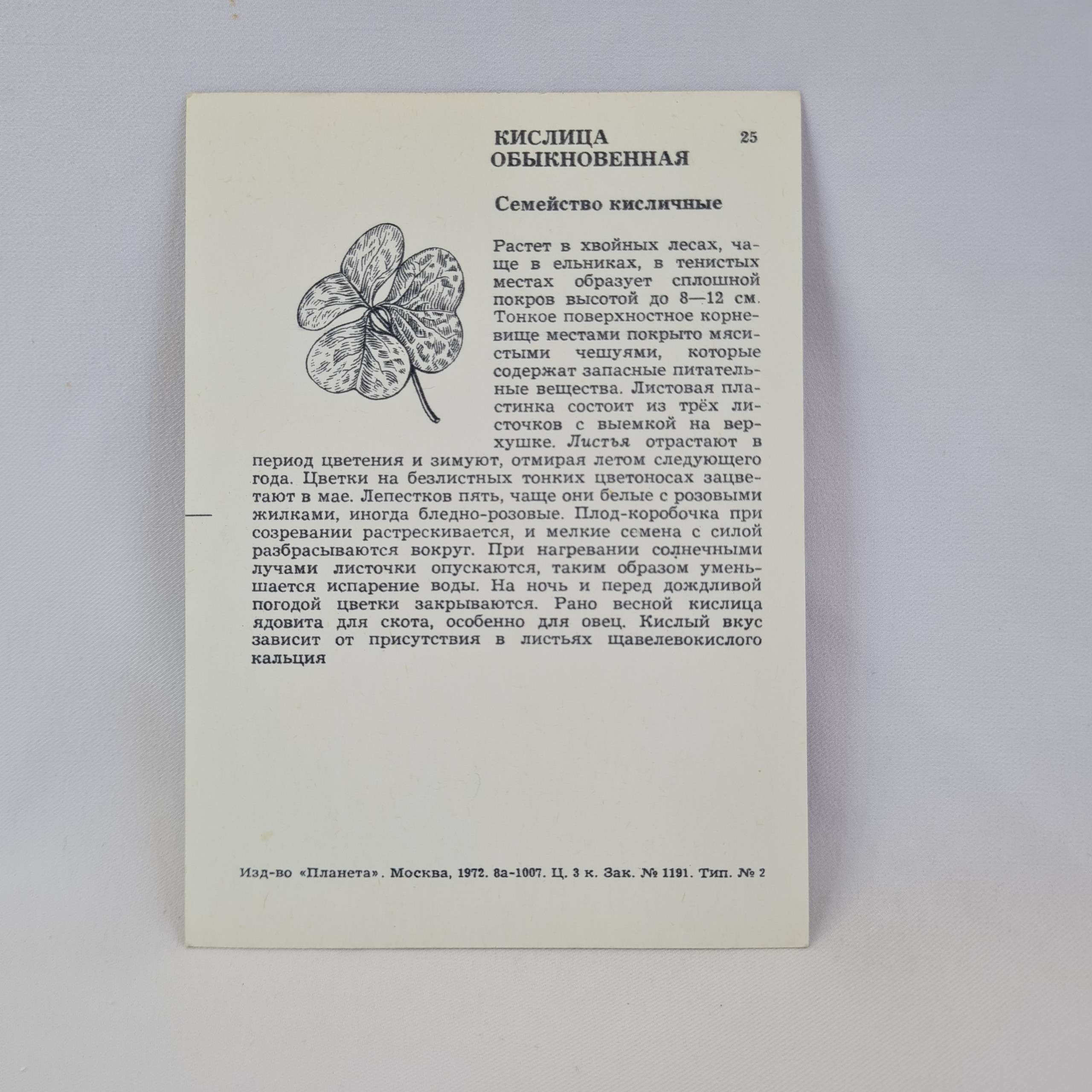 Картинка 2