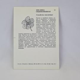 Картинка 2