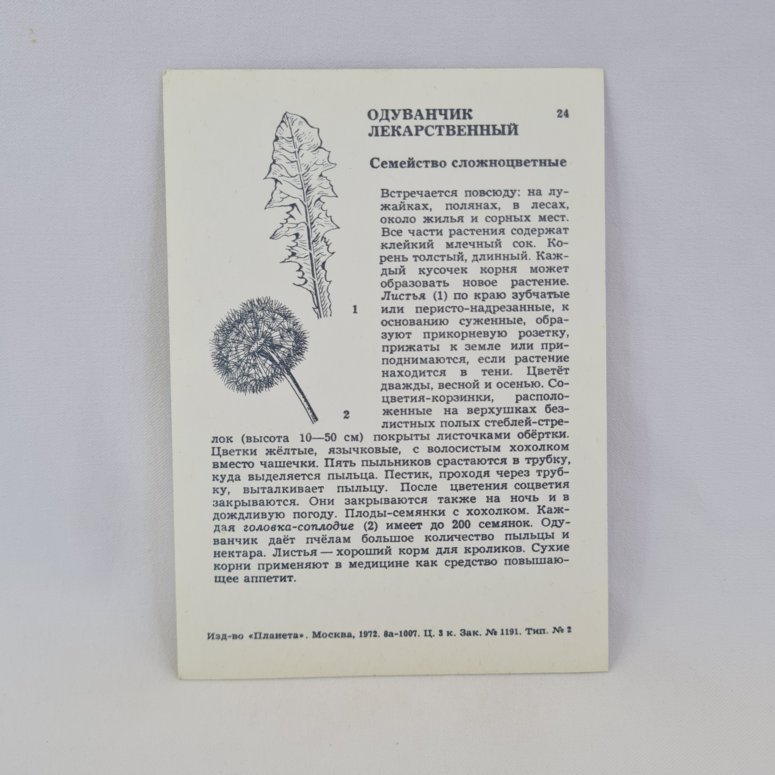 Картинка 2