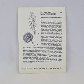 Картинка 2