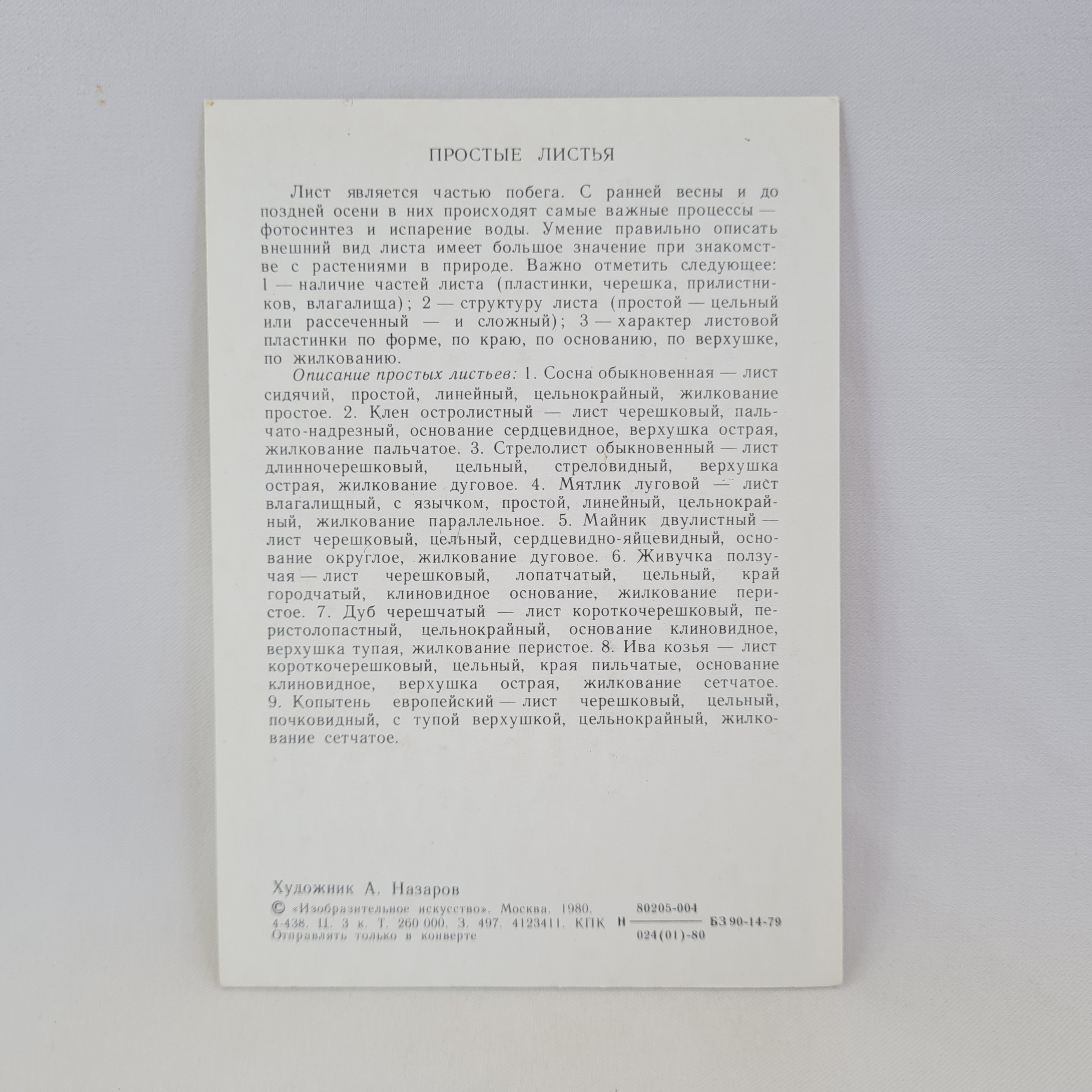 Картинка 2