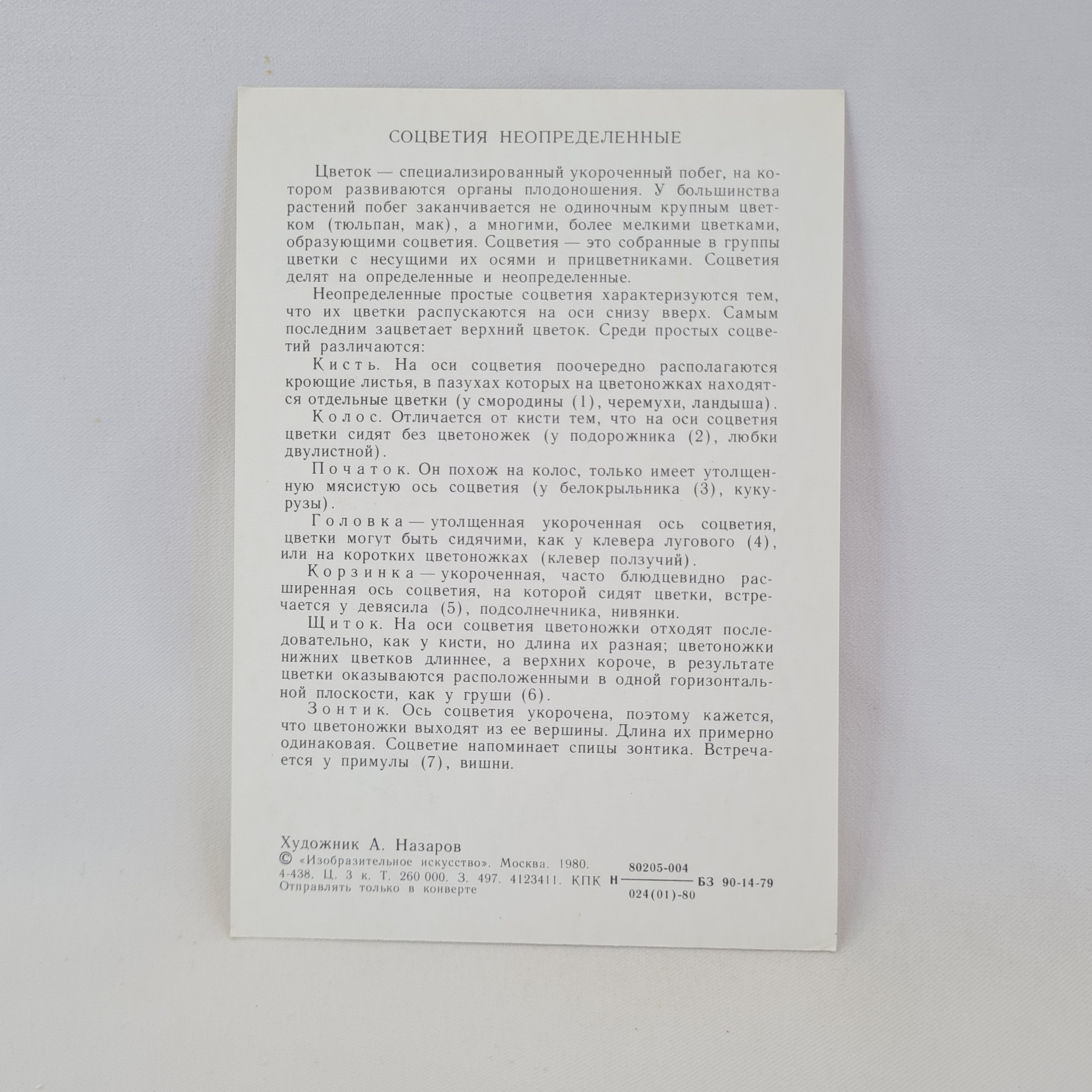 Картинка 2