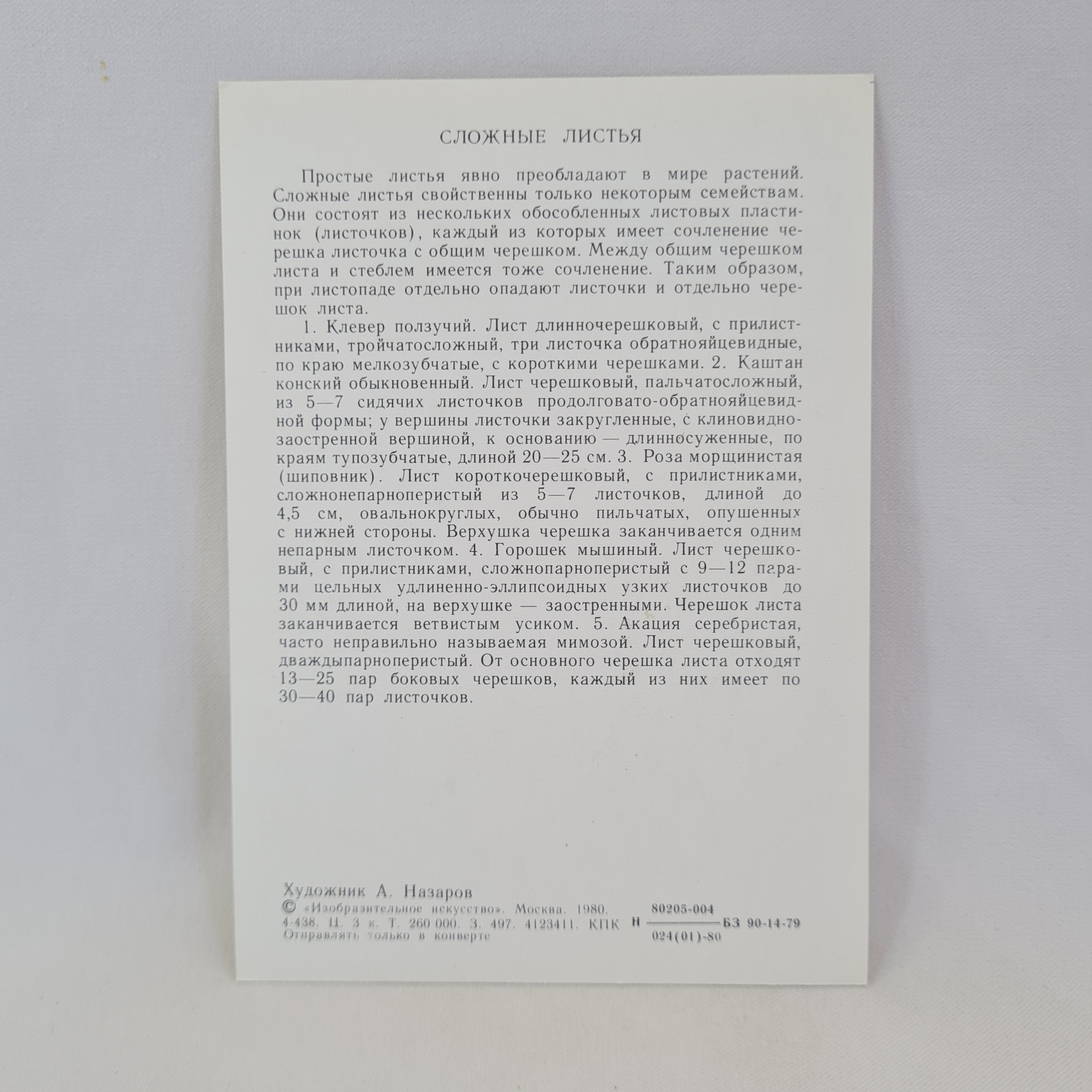 Картинка 2