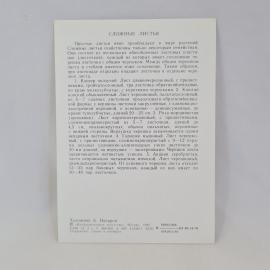 Картинка 2