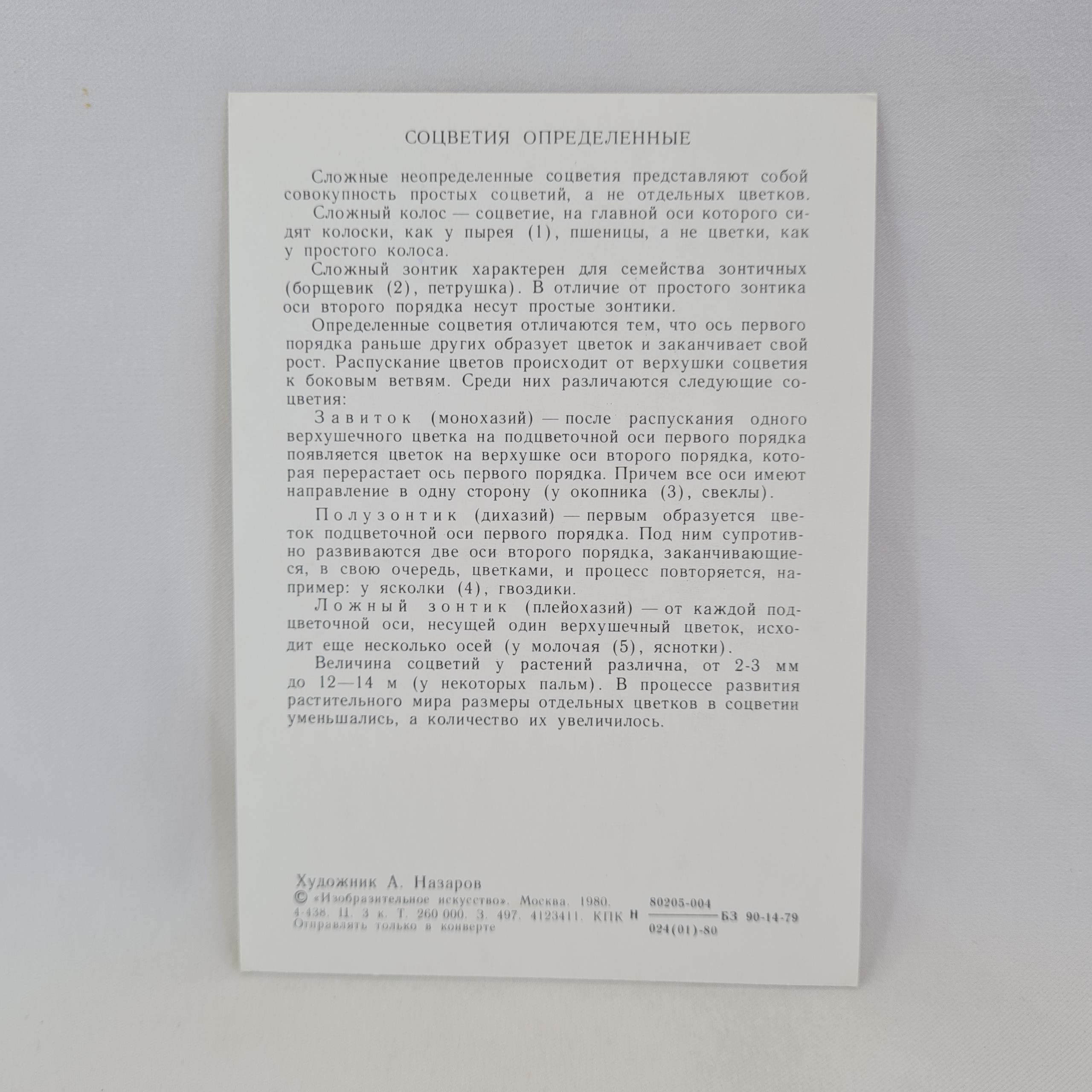 Картинка 2