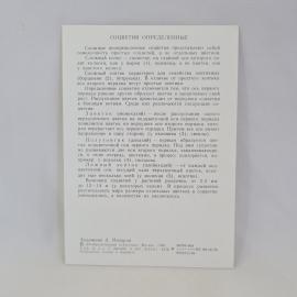 Картинка 2