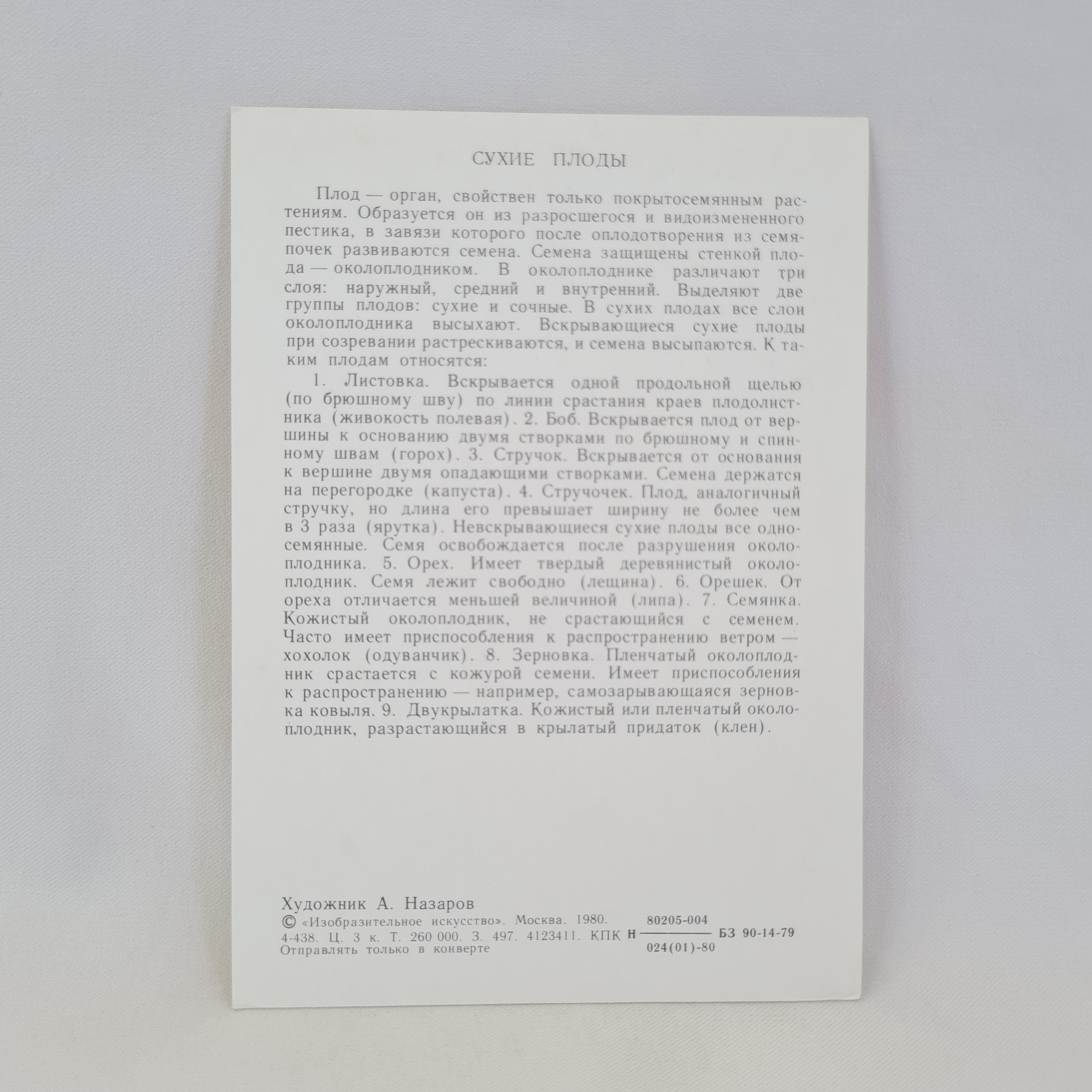 Картинка 2