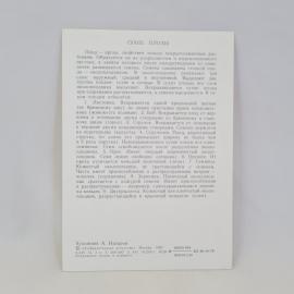 Картинка 2