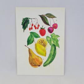 Открытка советская СССР. Сочные плоды малины, вишни, огурца, груши, лимона. Винтаж